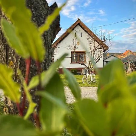 Relax * 본보야크바세기