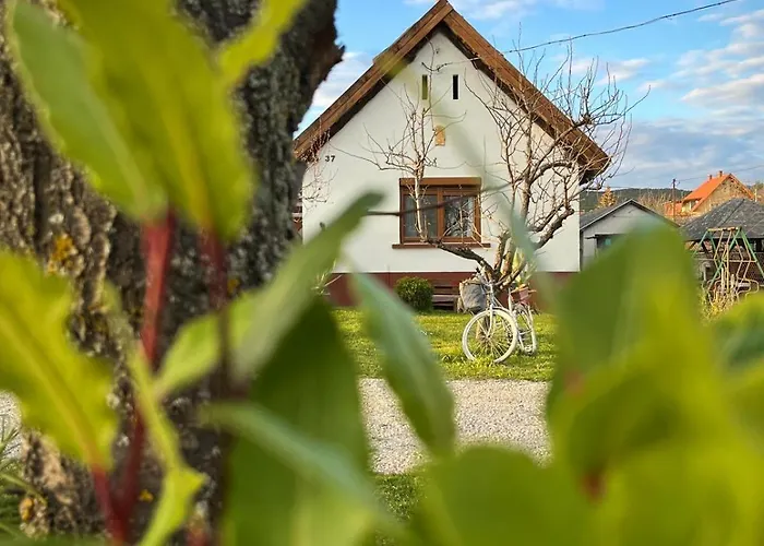 Relax * 본보야크바세기